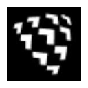 Shield AI